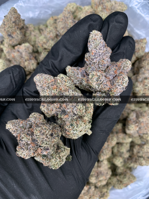 Blue Agape cannabis strain – rare 34% THC hybrid for delivery in Virginia and DC.