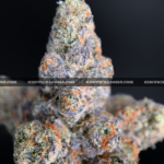 Blue Agape cannabis strain – rare 34% THC hybrid for delivery in Virginia and DC.