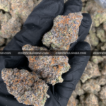 Blue Sunset Sherbet strain – sweet indica hybrid for sleep and relaxation in Virginia and DC.