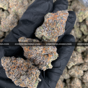 Blue Sunset Sherbet strain – sweet indica hybrid for sleep and relaxation in Virginia and DC.