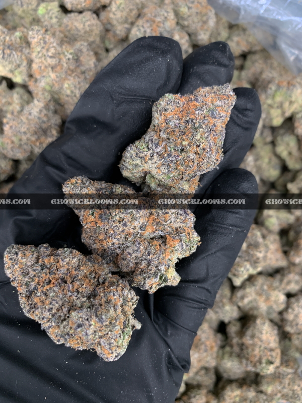 Blue Sunset Sherbet strain – sweet indica hybrid for sleep and relaxation in Virginia and DC.