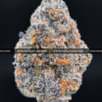 Blue Sunset Sherbet strain – sweet indica hybrid for sleep and relaxation in Virginia and DC.