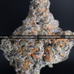 Blue Sunset Sherbet strain – sweet indica hybrid for sleep and relaxation in Virginia and DC.