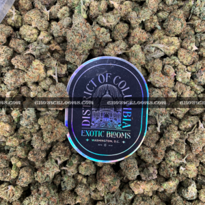 Close-up of Candy Glue strain featuring forest green grape-shaped buds with amber undertones, orange hairs, and frosty golden-white trichomes, available for weed delivery in Virginia and Washington, DC. Known for its sweet candy flavor and euphoric sativa-leaning effects.