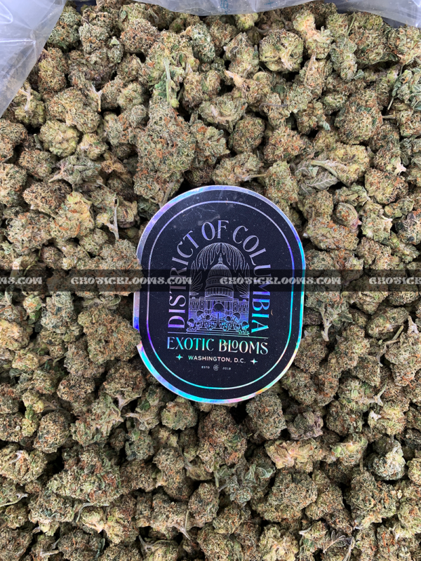 Close-up of Candy Glue strain featuring forest green grape-shaped buds with amber undertones, orange hairs, and frosty golden-white trichomes, available for weed delivery in Virginia and Washington, DC. Known for its sweet candy flavor and euphoric sativa-leaning effects.