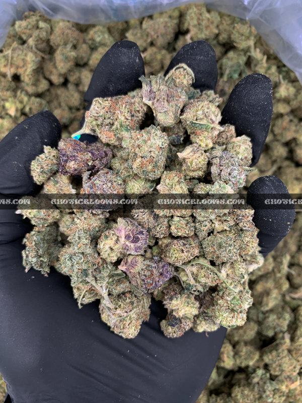 Close-up of Candy Glue strain featuring forest green grape-shaped buds with amber undertones, orange hairs, and frosty golden-white trichomes, available for weed delivery in Virginia and Washington, DC. Known for its sweet candy flavor and euphoric sativa-leaning effects.