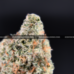 Close-up of Candy Glue strain featuring forest green grape-shaped buds with amber undertones, orange hairs, and frosty golden-white trichomes, available for weed delivery in Virginia and Washington, DC. Known for its sweet candy flavor and euphoric sativa-leaning effects.