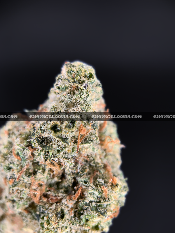 Close-up of Candy Glue strain featuring forest green grape-shaped buds with amber undertones, orange hairs, and frosty golden-white trichomes, available for weed delivery in Virginia and Washington, DC. Known for its sweet candy flavor and euphoric sativa-leaning effects.