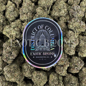 Candyland sativa cannabis strain – available for weed delivery in DC, Virginia, and Richmond via Exotic Blooms