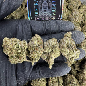 Candyland sativa cannabis strain – available for weed delivery in DC, Virginia, and Richmond via Exotic Blooms
