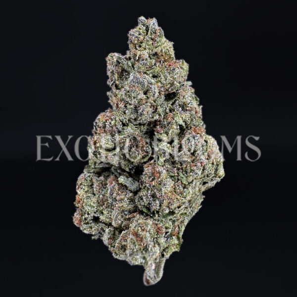 Candyland sativa cannabis strain – available for weed delivery in DC, Virginia, and Richmond via Exotic Blooms