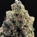 Candyland sativa cannabis strain – available for weed delivery in DC, Virginia, and Richmond via Exotic Blooms