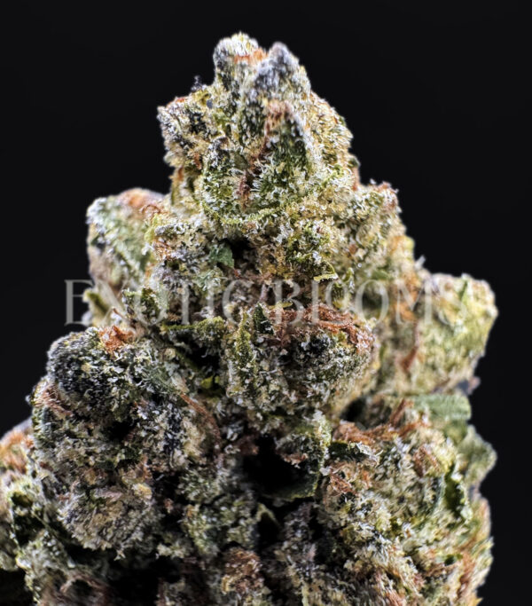 Candyland sativa cannabis strain – available for weed delivery in DC, Virginia, and Richmond via Exotic Blooms