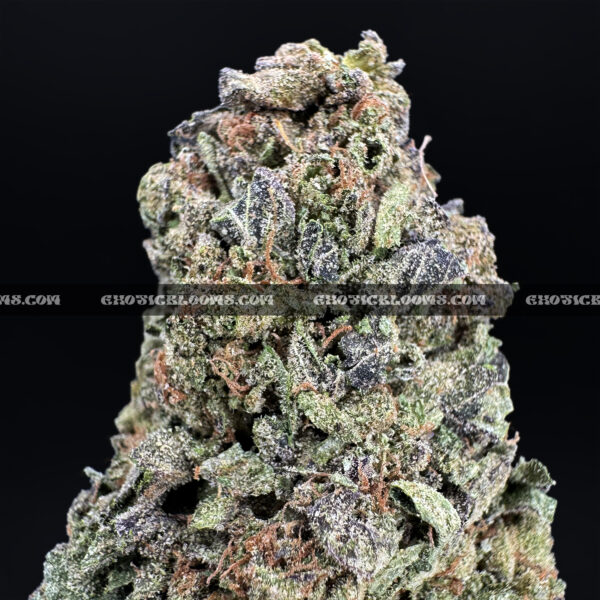 Candyland-strain-candy-land-exotic-blooms-delivery