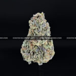 Candyland-strain-candy-land-exotic-blooms-delivery