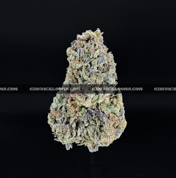 Candyland-strain-candy-land-exotic-blooms-delivery