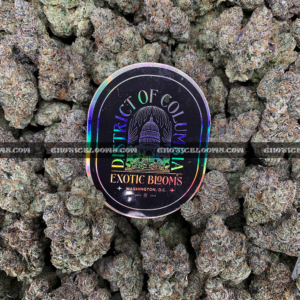 Cherry Paloma cannabis strain – balanced hybrid with citrus cherry and creamy gas notes for VA and DC delivery.