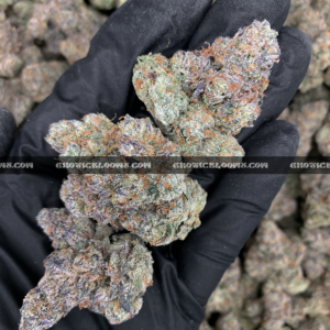 Cherry Paloma cannabis strain – balanced hybrid with citrus cherry and creamy gas notes for VA and DC delivery.