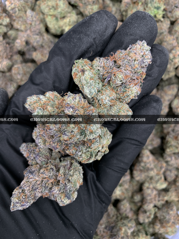 Cherry Paloma cannabis strain – balanced hybrid with citrus cherry and creamy gas notes for VA and DC delivery.