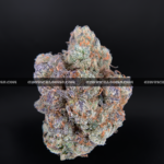 Cherry Paloma cannabis strain – balanced hybrid with citrus cherry and creamy gas notes for VA and DC delivery.