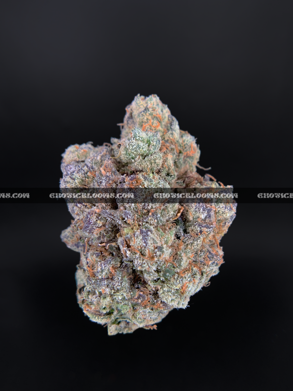 Cherry Paloma cannabis strain – balanced hybrid with citrus cherry and creamy gas notes for VA and DC delivery.