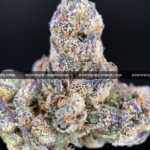 Cherry Paloma cannabis strain – balanced hybrid with citrus cherry and creamy gas notes for VA and DC delivery.
