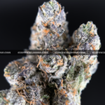 Cherry Paloma cannabis strain – balanced hybrid with citrus cherry and creamy gas notes for VA and DC delivery.