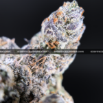 Cherry Paloma cannabis strain – balanced hybrid with citrus cherry and creamy gas notes for VA and DC delivery.