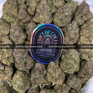 Divorce Cake cannabis strain – flavorful indica hybrid for weed delivery in Virginia and DC.
