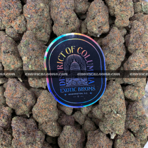 Frosty purple and green Grape GMO buds – premium indica strain for VA cannabis delivery
