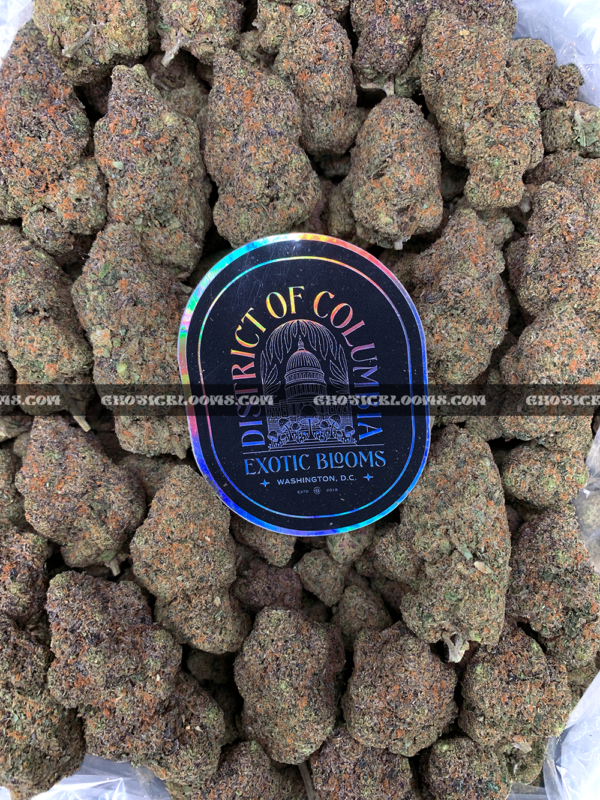 Frosty purple and green Grape GMO buds – premium indica strain for VA cannabis delivery