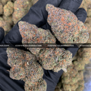 Frosty purple and green Grape GMO buds – premium indica strain for VA cannabis delivery