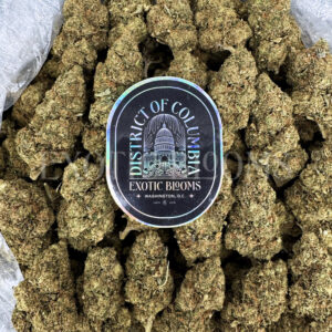 Jack Off Herer Washington DC Virginia