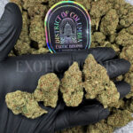 SFV OG Washington DC Virginia