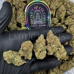 SFV OG Washington DC Virginia