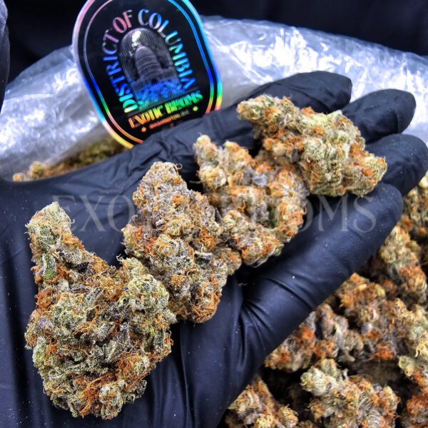 Hellfire OG Washington DC Virginia