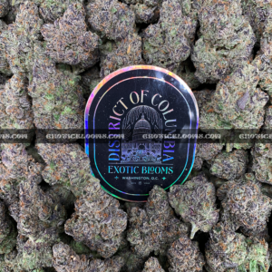 Guava Belts cannabis strain – high potency tropical sativa for delivery in Virginia and DC.