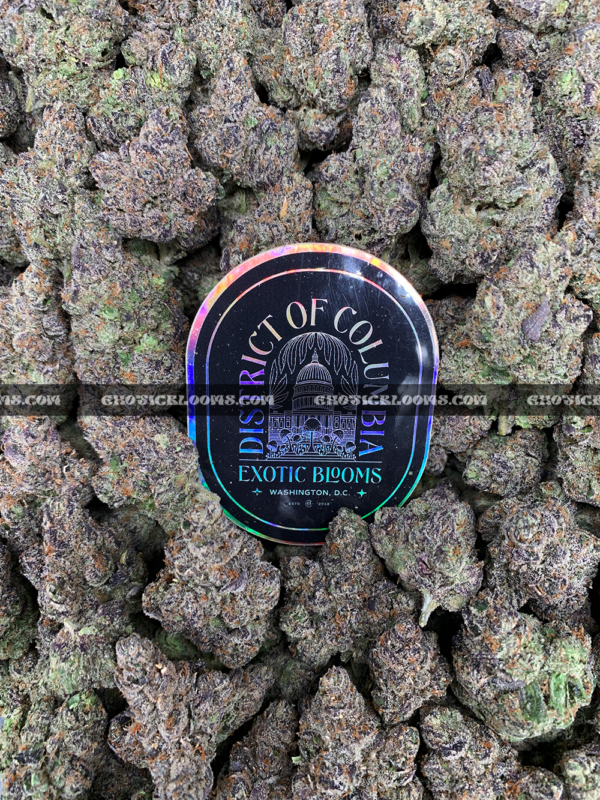 Guava Belts cannabis strain – high potency tropical sativa for delivery in Virginia and DC.
