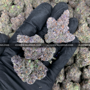 Guava Belts cannabis strain – high potency tropical sativa for delivery in Virginia and DC.