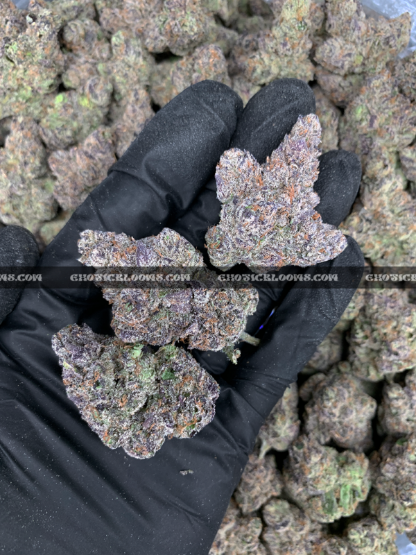 Guava Belts cannabis strain – high potency tropical sativa for delivery in Virginia and DC.