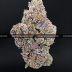 Guava Belts cannabis strain – high potency tropical sativa for delivery in Virginia and DC.