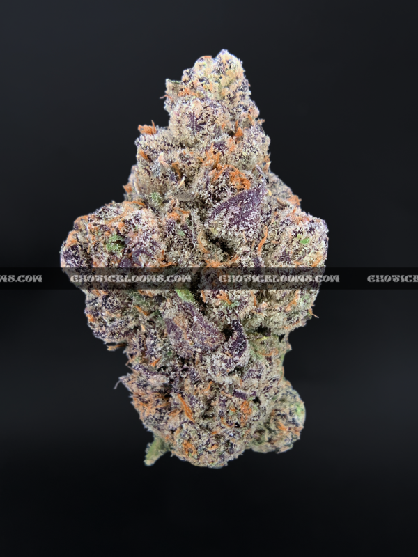 Guava Belts cannabis strain – high potency tropical sativa for delivery in Virginia and DC.