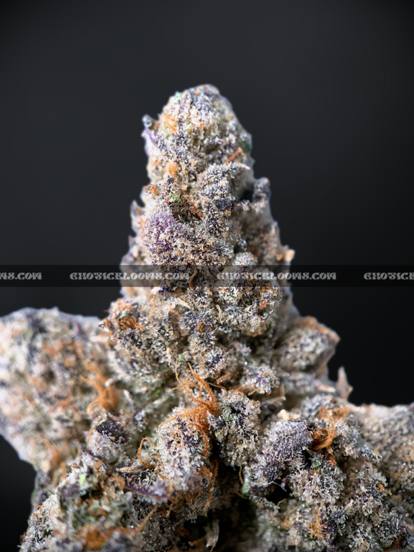 Guava Belts cannabis strain – high potency tropical sativa for delivery in Virginia and DC.