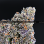 Guava Belts cannabis strain – high potency tropical sativa for delivery in Virginia and DC.