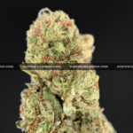Hawaiian cannabis strain – smooth and uplifting sativa hybrid for delivery in Virginia and DC.