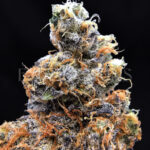 Hellfire OG Washington DC Virginia