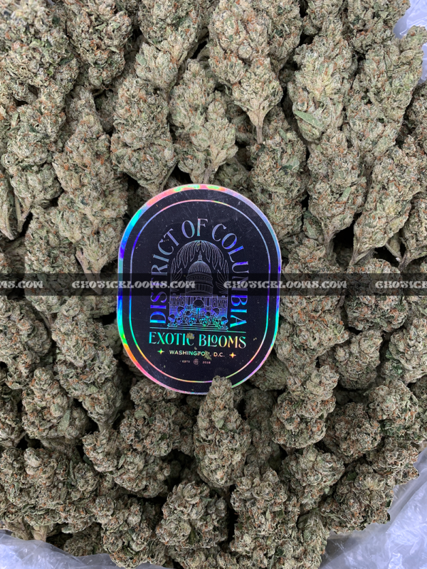 OG Kush (OGK) strain – euphoric citrus pine hybrid for delivery in Virginia and DC.