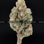 OG Kush (OGK) strain – euphoric citrus pine hybrid for delivery in Virginia and DC.