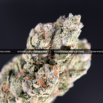 OG Kush (OGK) strain – euphoric citrus pine hybrid for delivery in Virginia and DC.