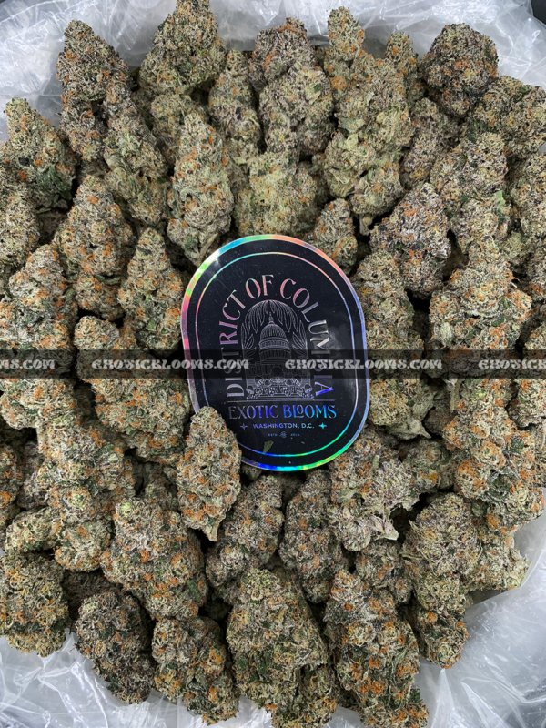 Permanent Marker cannabis strain – ultra high THC indica available for weed delivery in Virginia and DC.